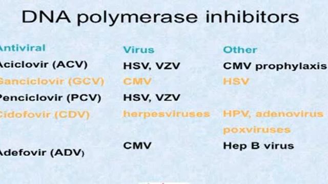 CMV infection and HIV. Part 2