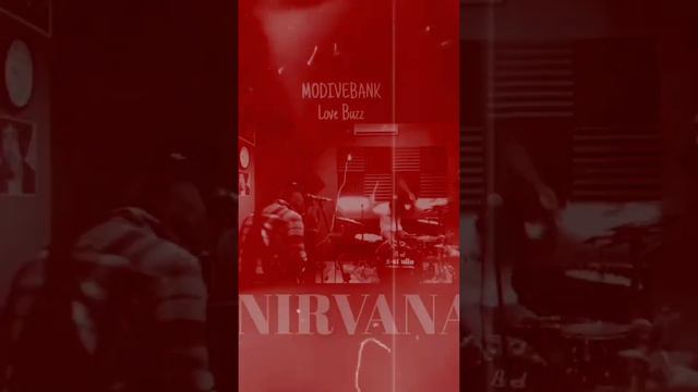 NIRVANA - Love Buzz x .Feast - Peradaban (vertical video) cover MODIVEBANK