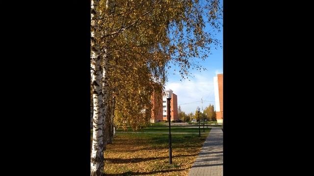 Концертный номер 6. Стихотворение Евгения Евтушенко Люди- родина моя
