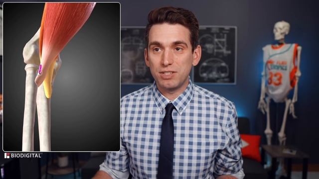 Double Biceps Rupture - Doctor Explains Ultra-Rare Bodybuilding Injury