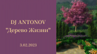 DJ ANTONOV - Дерево Жизни (3.02.2023)