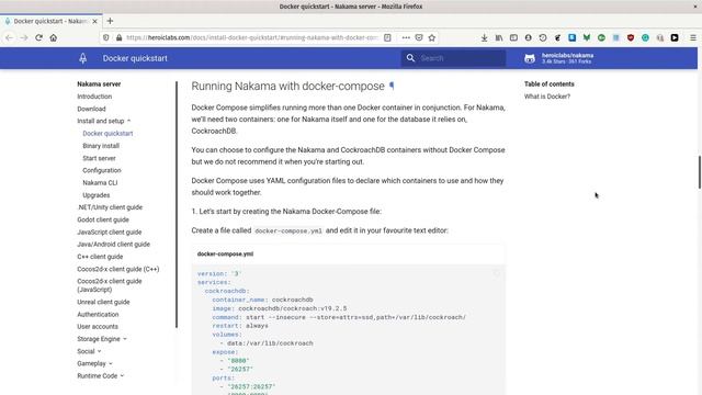 Getting Started with Nakama in Godot: Installing (2)