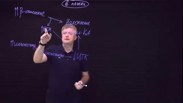 Биохимия: Инициация синтеза кетоновых тел