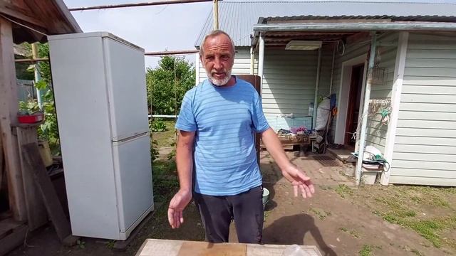 индюки ХАЙБРИД КОНВЕРТЕР. Вынужденный убой индюшки.