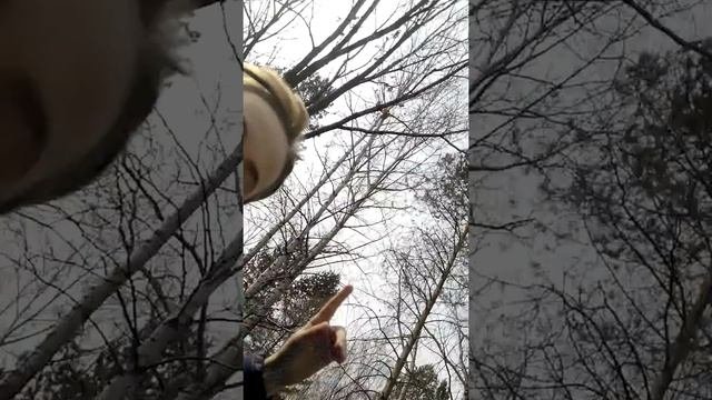 Наша Некрасовка