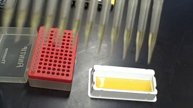 Bad Finnpipette pipette .AVI