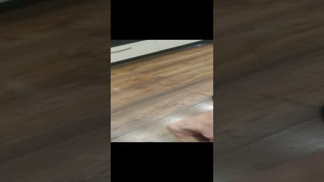 VID_20221022_225645.mp4