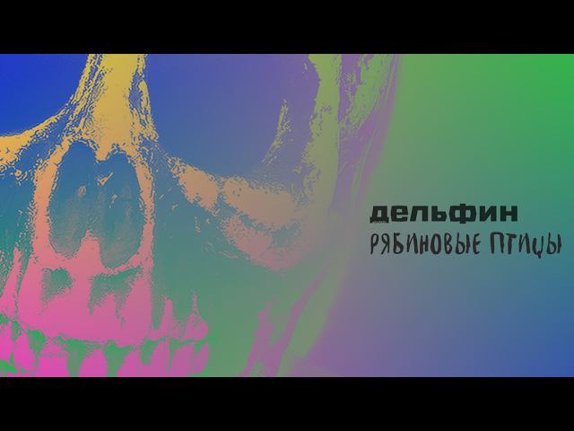 Дельфин - Рябиновые птицы