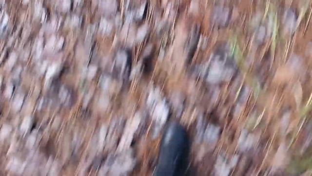 Clorts Trekking Bot - Ayakkabı Önemlidir ;)