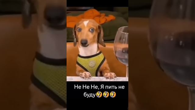 Пятница...