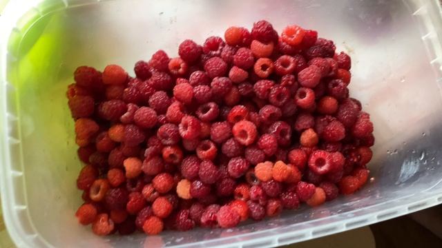 Закрутки на зиму в деревне