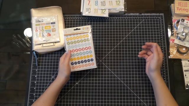 Paper Plans Debut!!! Kate Spade Wellesley, Target Dollarspot, Joannes and Michael's HAUL!!!!