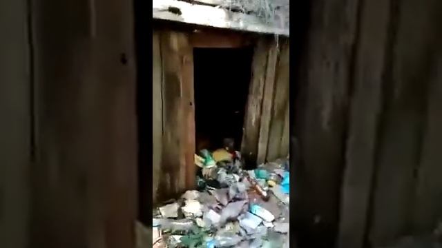 Обзор пролетарки в Саратове!