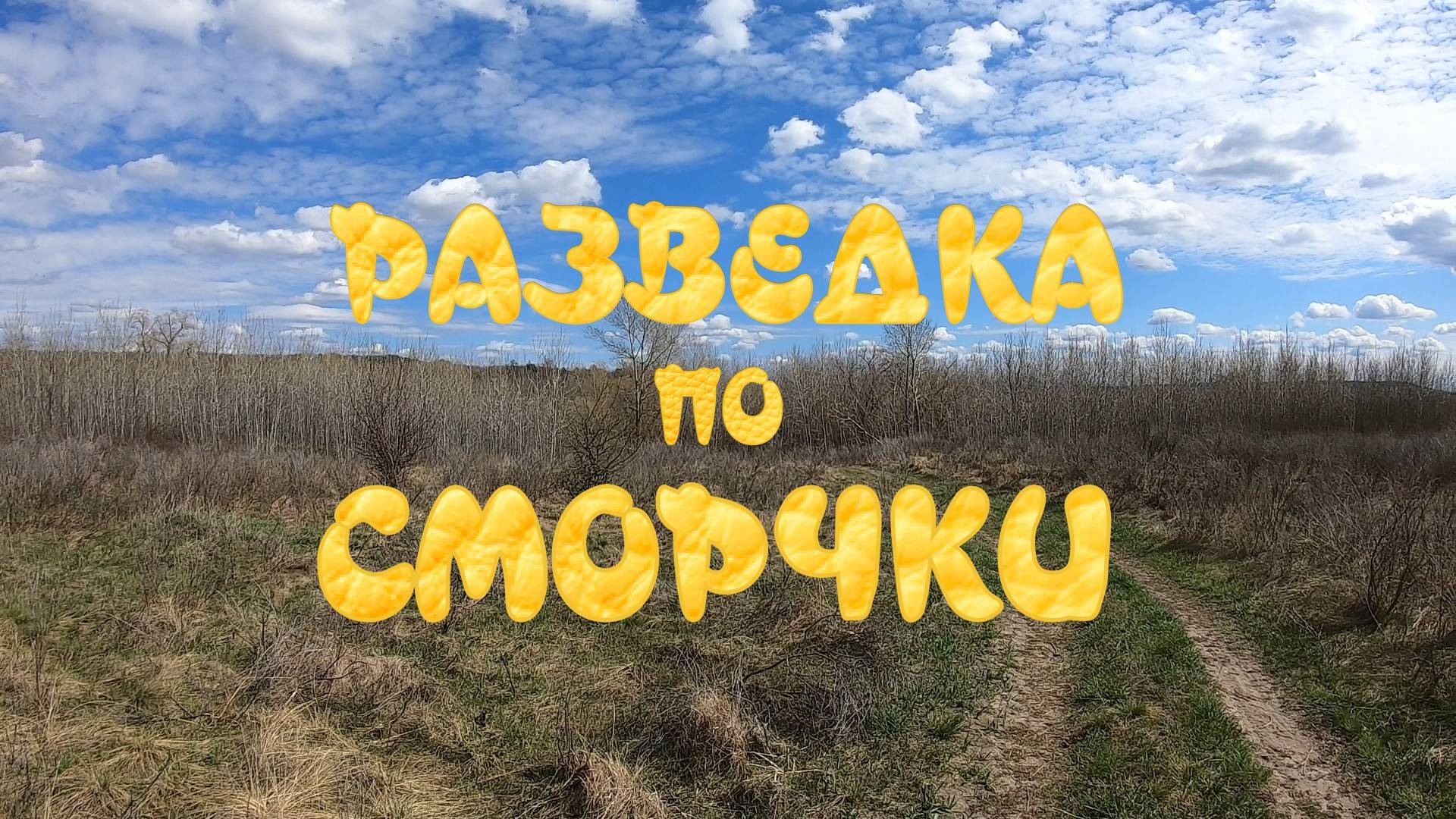 Разведка по сморчки