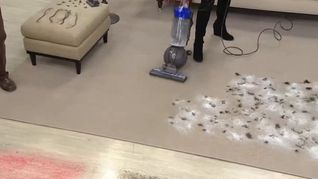 Dyson DC65 Animal Ball Upright Vacuum w/ 7 Attachments with Dan Wheeler