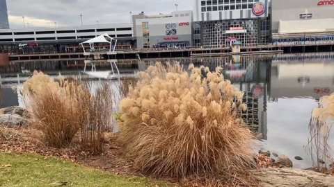Ձմեռային Ռիո Մերիլենդ ԱՄՆ, Winter RIO Gaithersburg, MD USA , Рио Мэриленд