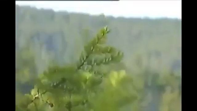 Толи ещё будет!!!