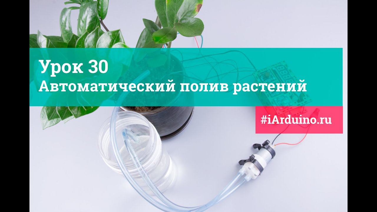 Урок 30. Автоматический полив растений