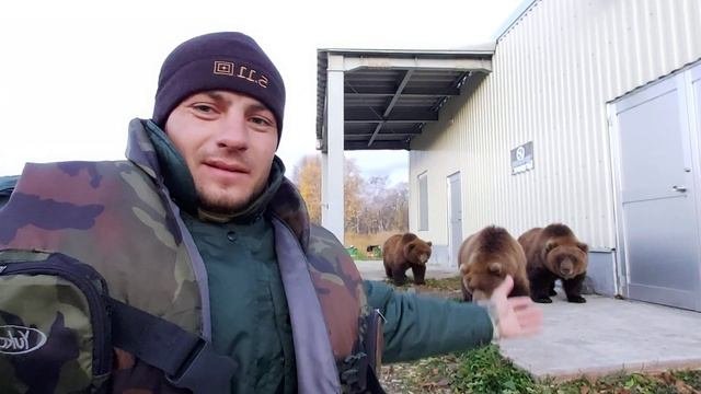 Шок!!!😱 попросил лапу у медведя 😱😱😱