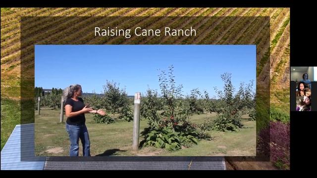 REDA (Renewable Engery Development Assistance) Webinar
