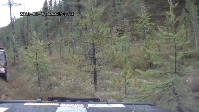 красный мох