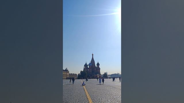 Москва златогавая