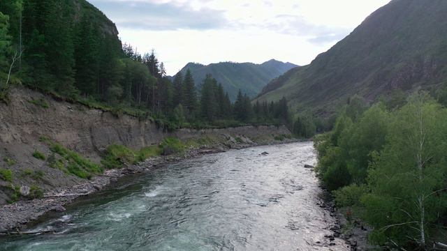 Алтай.р. Катунь р.Урсул 2020