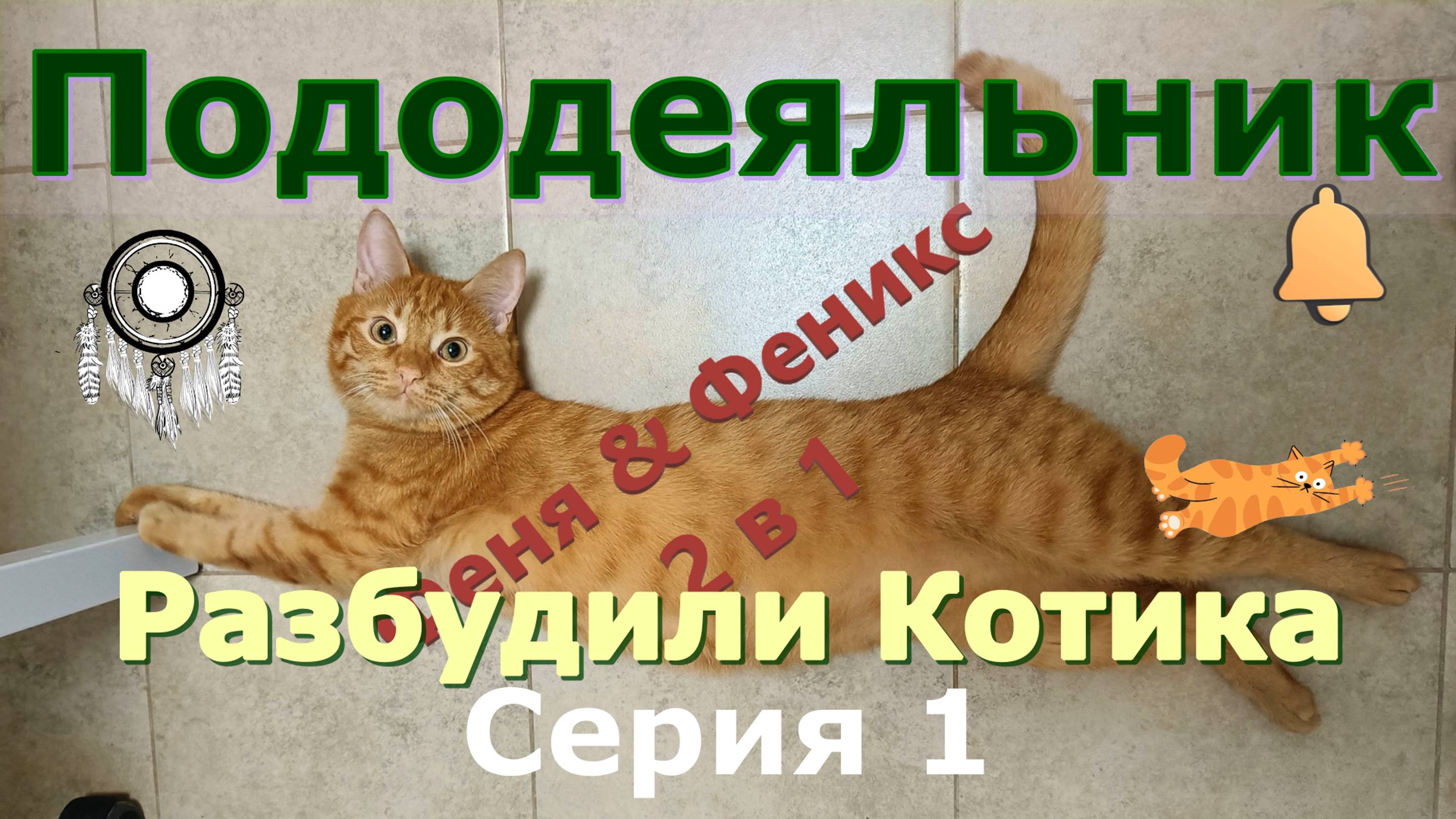 Пододеяльник. Разбудили Котика. Серия 1 Кот Феня, он же Феникс