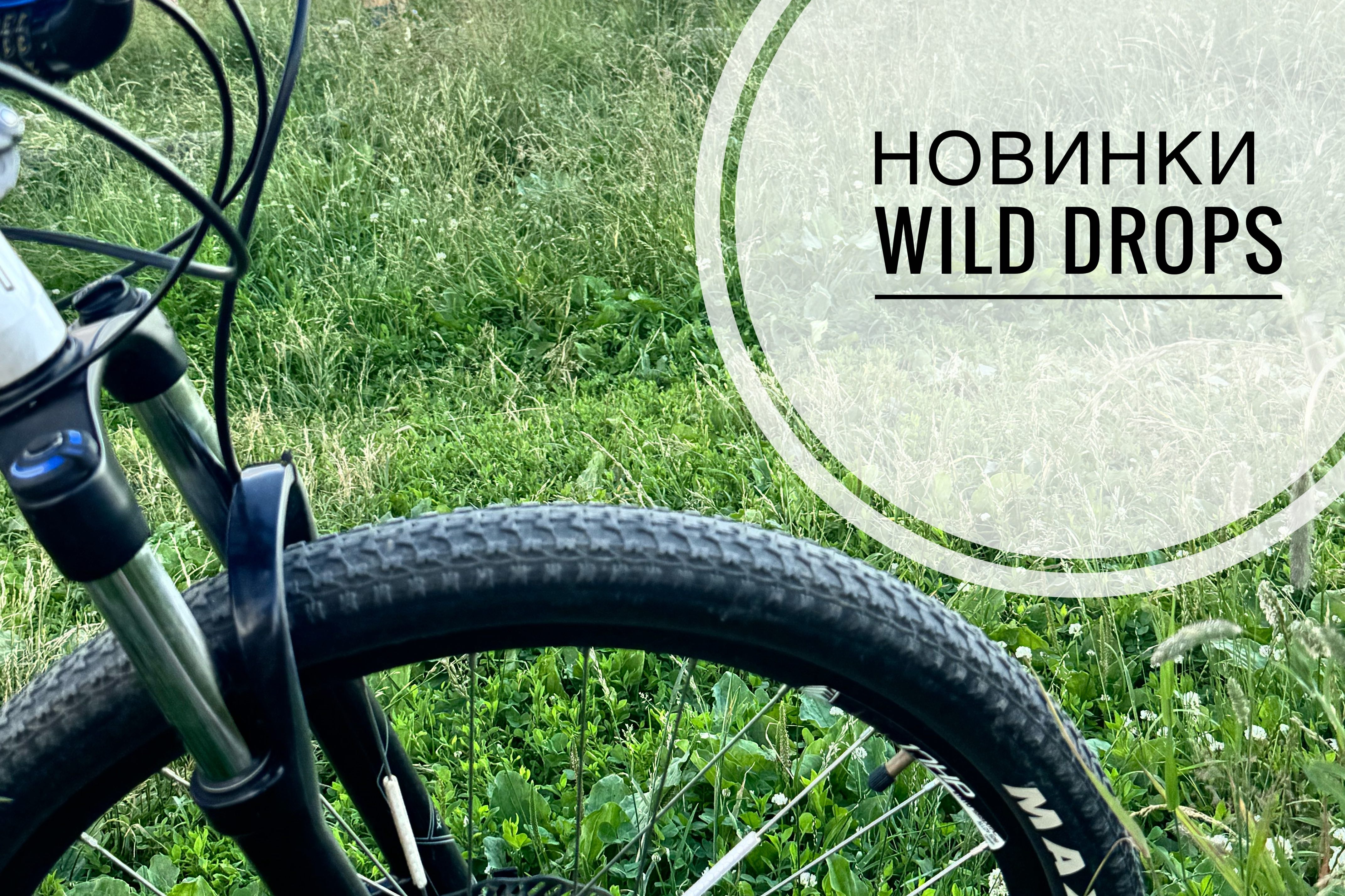 Wild Drops | НОВИНКИ