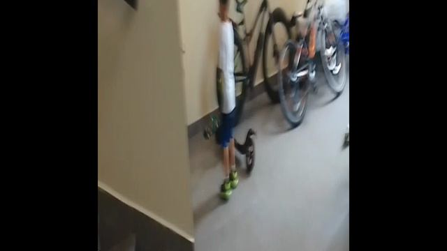 Я был в цырке
