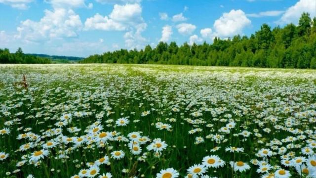 Лето кончается. Автор неизвестен. (Я лишь соединил и добавил эффекты).