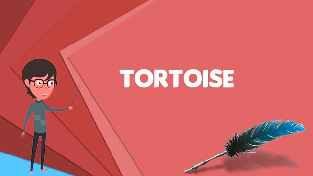 What is Tortoise? Explain Tortoise, Define Tortoise, Meaning of Tortoise