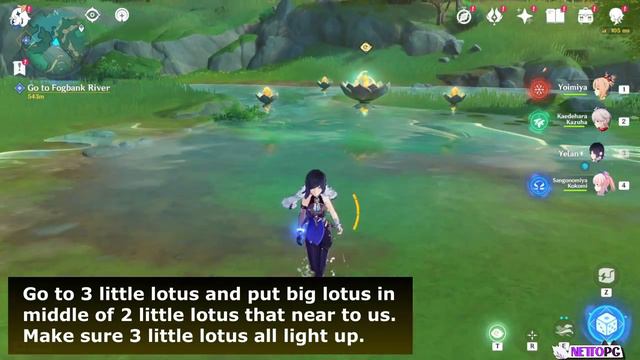 Lotus Puzzle At West of Teatree Slope