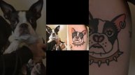 People have Tattooed Their Animals on Their Bodies