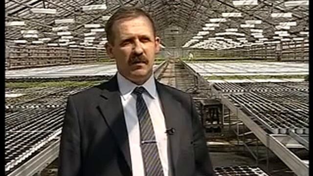 Теплицы.flv