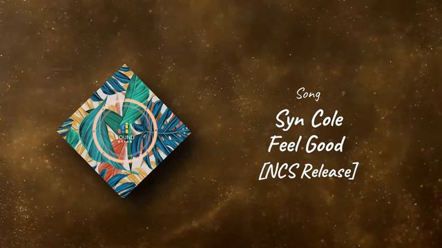 Syn Cole - Feel Good [NCS Release]  House Mix  No Copyright Music Vlog  Sound Ocean
