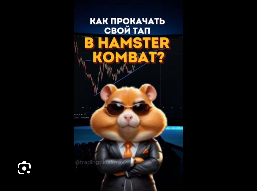 Быстрая и правильная прокачка карт в Hamster Kombat. Топ хомяк в Игре