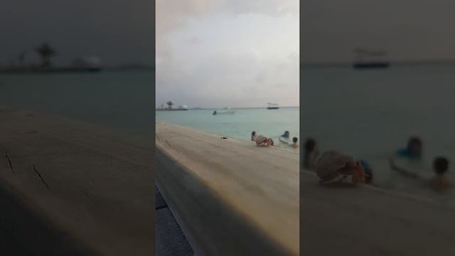 Furaveri Island - Hermit crab on it's walk