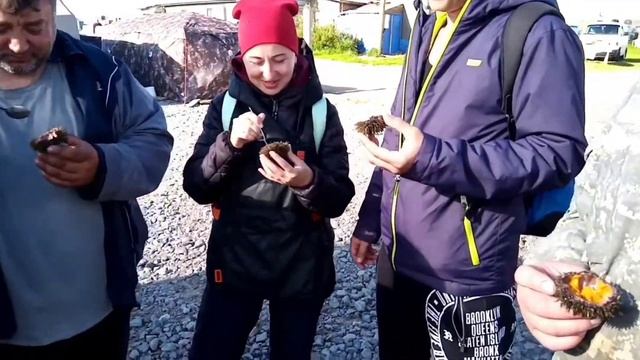 Дегустация морского ежа
