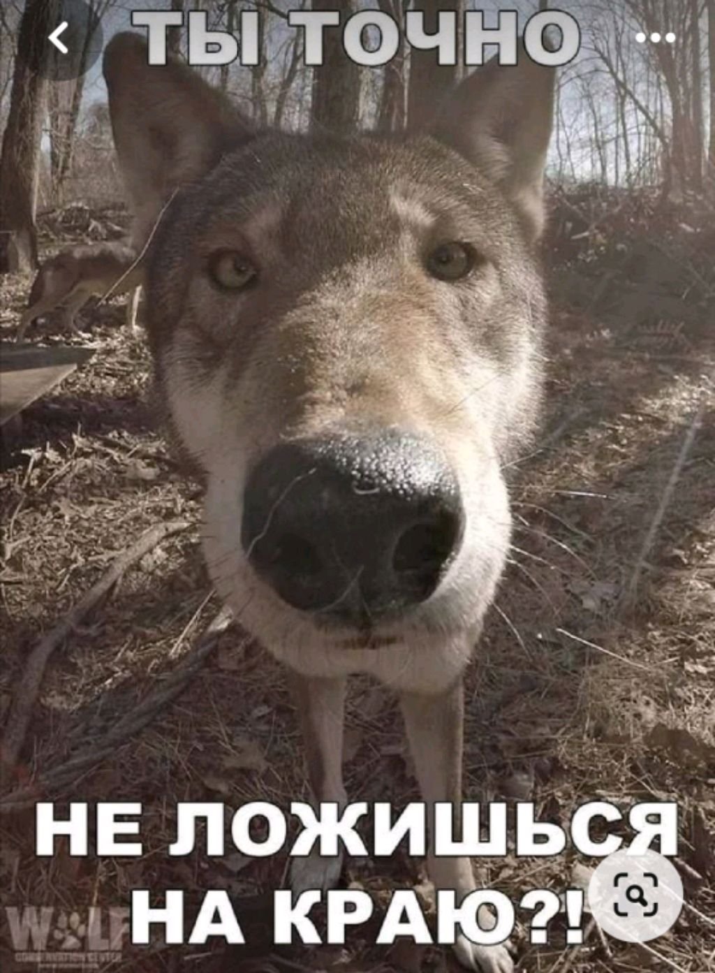 Иди сюда