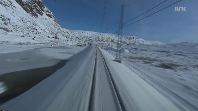 Prado - Arriving train