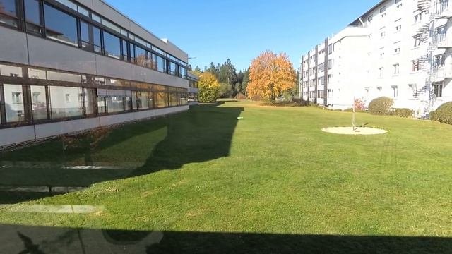 Робот пасётся на лужайке. Питается травой и электричеством.