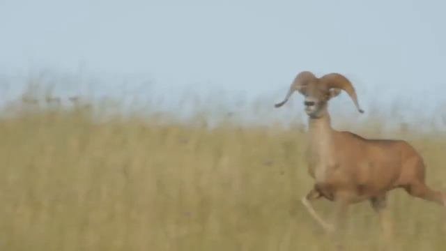 ЕРЕЙМЕНТАУ национальный парк Буйратау