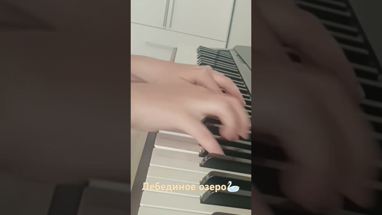 #music#классическаямузыка#лебединоеозеро#шураиграет
