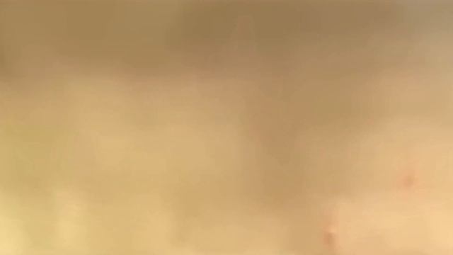 ПОДГОТОВКА  КОЛОНИЗАЦИИ