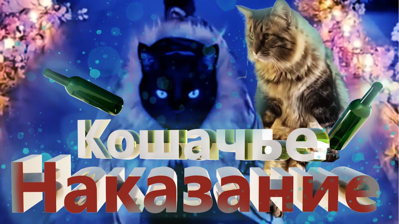 Кошачьи новости - Беспредел и валерьяна "Смешные коты"