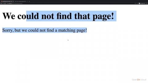 041- 404 Templates-opendir.cloud. #404 #template #pythondjango #programmer