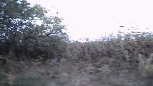GRANDENIKO ПЬЯНЫЙ ЗА РУЛЁМ. САМВЕЛ АДАМЯН МОЛЧИТ