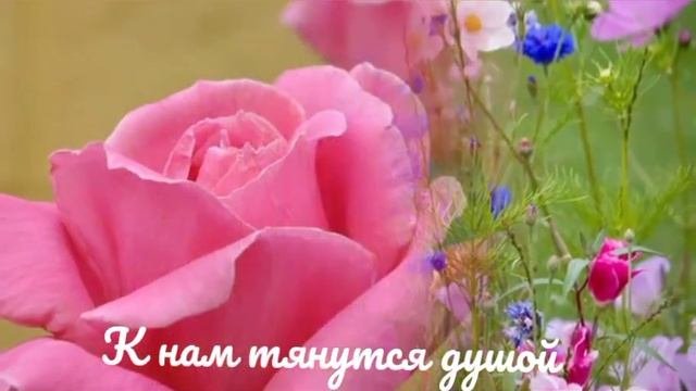 ДЛЯ ЧЕГО ЦВЕТУТ ЦВЕТЫ Стихи Василия Федорченко