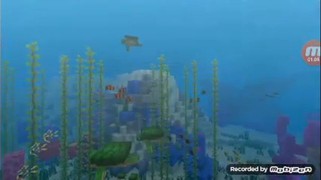 как войти на сервер без Xbox live в майнкрафт 1.5.1